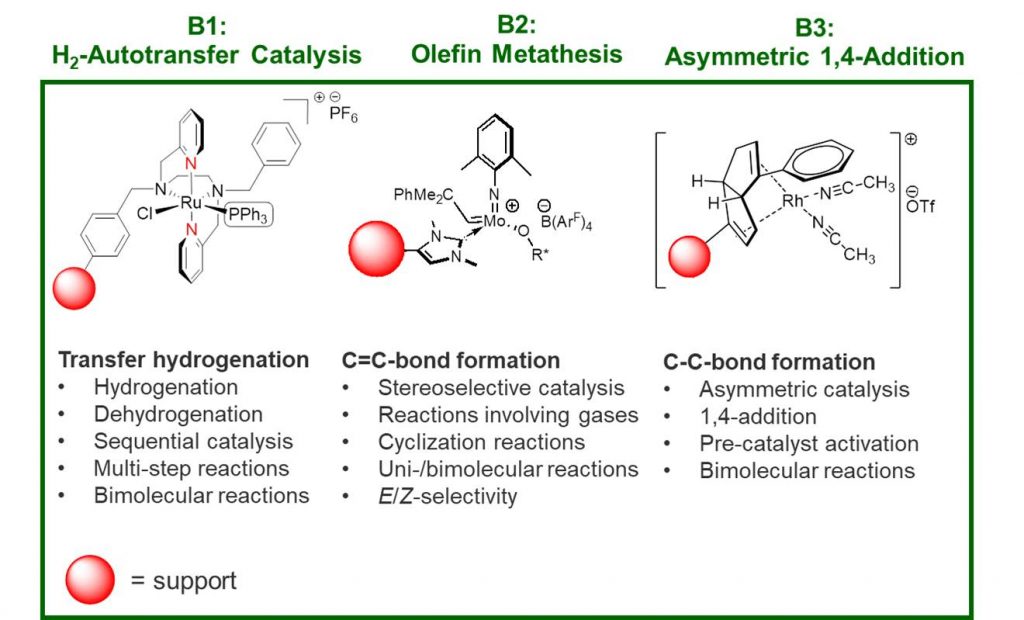 Image Area B Catalysis reactions