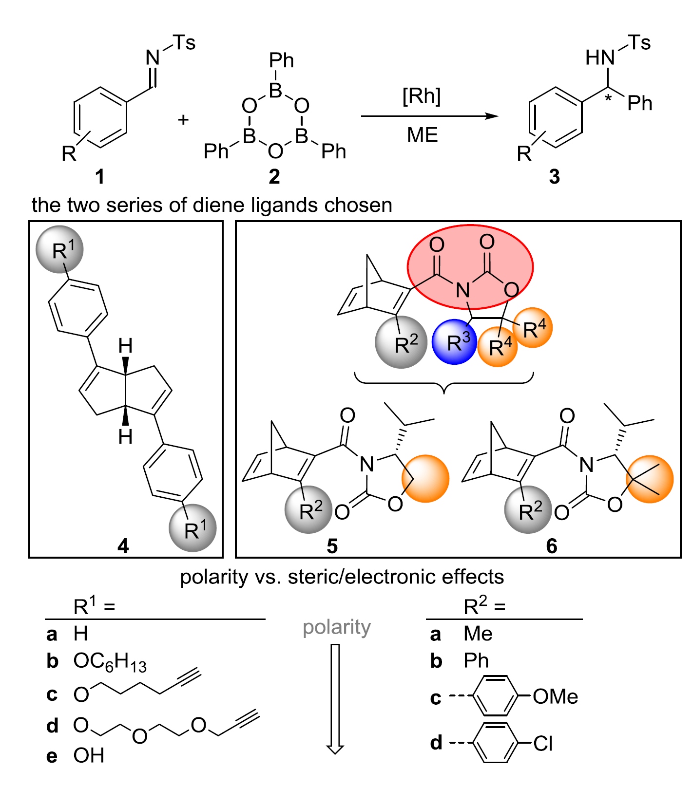 Asymmetric Catalysis in Liquid Confinement: Probing the Performance of Novel Chiral Rhodium Diene Complexes in Microemulsions and Conventional Solvents