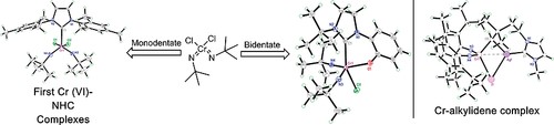 Chromium (VI) Bisimido Dichloro, Bisimido Alkylidene and Chromium (V) Bisimido Iodo N-Heterocyclic Carbene Complexes