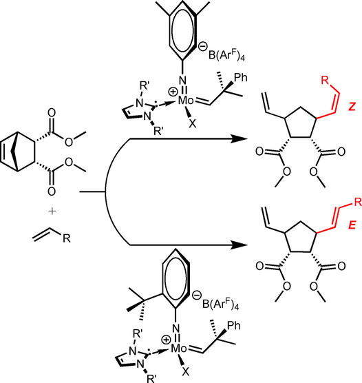 Stereoselective Olefin Ring-Opening Cross Metathesis Catalyzed by Molybdenum Imido Alkylidene N-Heterocyclic Carbene Complexes