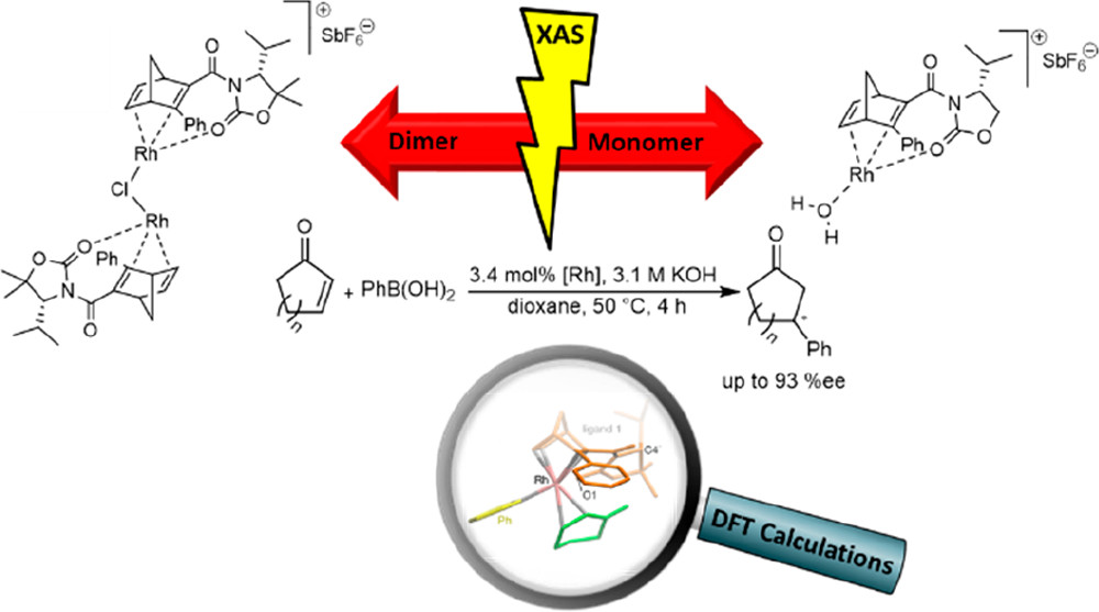 Experimental and Theoretical Study on the Role of Monomeric vs Dimeric Rhodium Oxazolidinone Norbornadiene Complexes in Catalytic Asymmetric 1,2- and 1,4-Additions