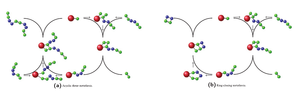 The Presence of a Wall Enhances the Probability for Ring‐Closing Metathesis: Insights from Classical Polymer Theory and Atomistic Simulations