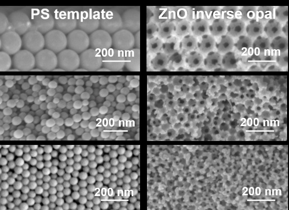 From Macro to Mesoporous ZnO Inverse Opals: Synthesis, Characterization and Tracer Diffusion Properties