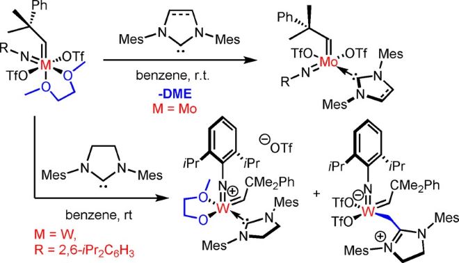 Cationic Group VI Metal Imido Alkylidene N-Heterocyclic Carbene Nitrile Complexes: Bench-Stable, Functional Group Tolerant Olefin Metathesis Catalysts