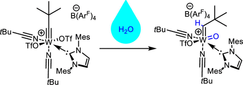 Cationic Tungsten Oxo Alkylidene N‑Heterocyclic Carbene Complexes via Hydrolysis of Cationic Alkylidyne Progenitors