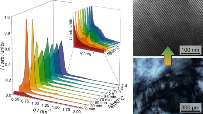 Mechanisms and Intermediates in the True Liquid Crystal Templating Synthesis of Mesoporous Silica Materials