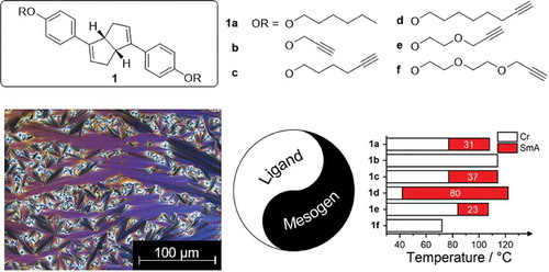 Phase behaviour of alkynyl-terminated bicyclo[3.3.0]octa-1,4-diene ligands: a serendipitous discovery of novel calamitic liquid crystals