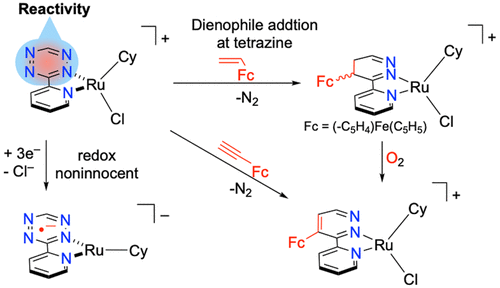 [(η6-p-Cymene)[3-(pyrid-2-yl)-1,2,4,5-tetrazine]chlororuthenium(II)]+, Redox Noninnocence and Dienophile Addition to Coordinated Tetrazine