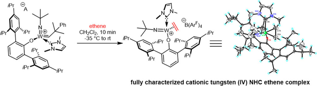 Cationic Tungsten Imido Alkylidene <i>N</i>-Heterocyclic Carbene Complexes That Contain Bulky Ligands