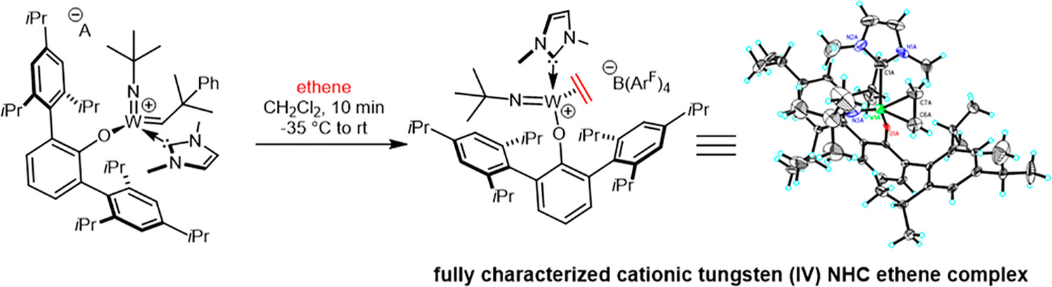 Cationic Tungsten Imido Alkylidene N-Heterocyclic Carbene Complexes That Contain Bulky Ligands