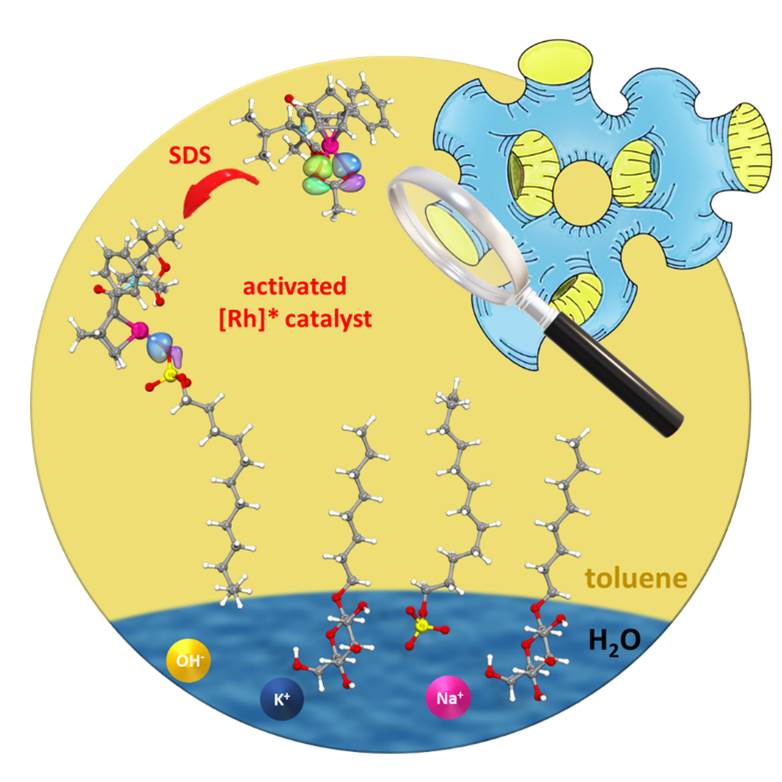 Interplay of Polarity and Confinement in Asymmetric Catalysis with Chiral Rh Diene Complexes in Microemulsions