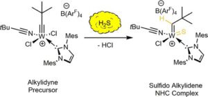 Tungsten Sulfido Alkylidene and Cationic Tungsten Sulfido Alkylidene N-Heterocyclic Carbene Complexes