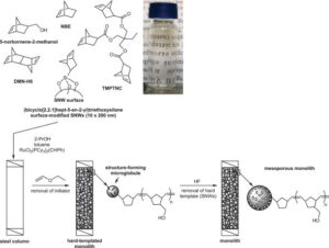 A Hard Templating Approach to Functional Mesoporous Poly(norborn-2-ene)-Based Monolithic Supports