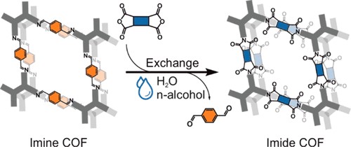 Direct and Linker-Exchange Alcohol-Assisted Hydrothermal Synthesis of Imide-Linked Covalent Organic Frameworks