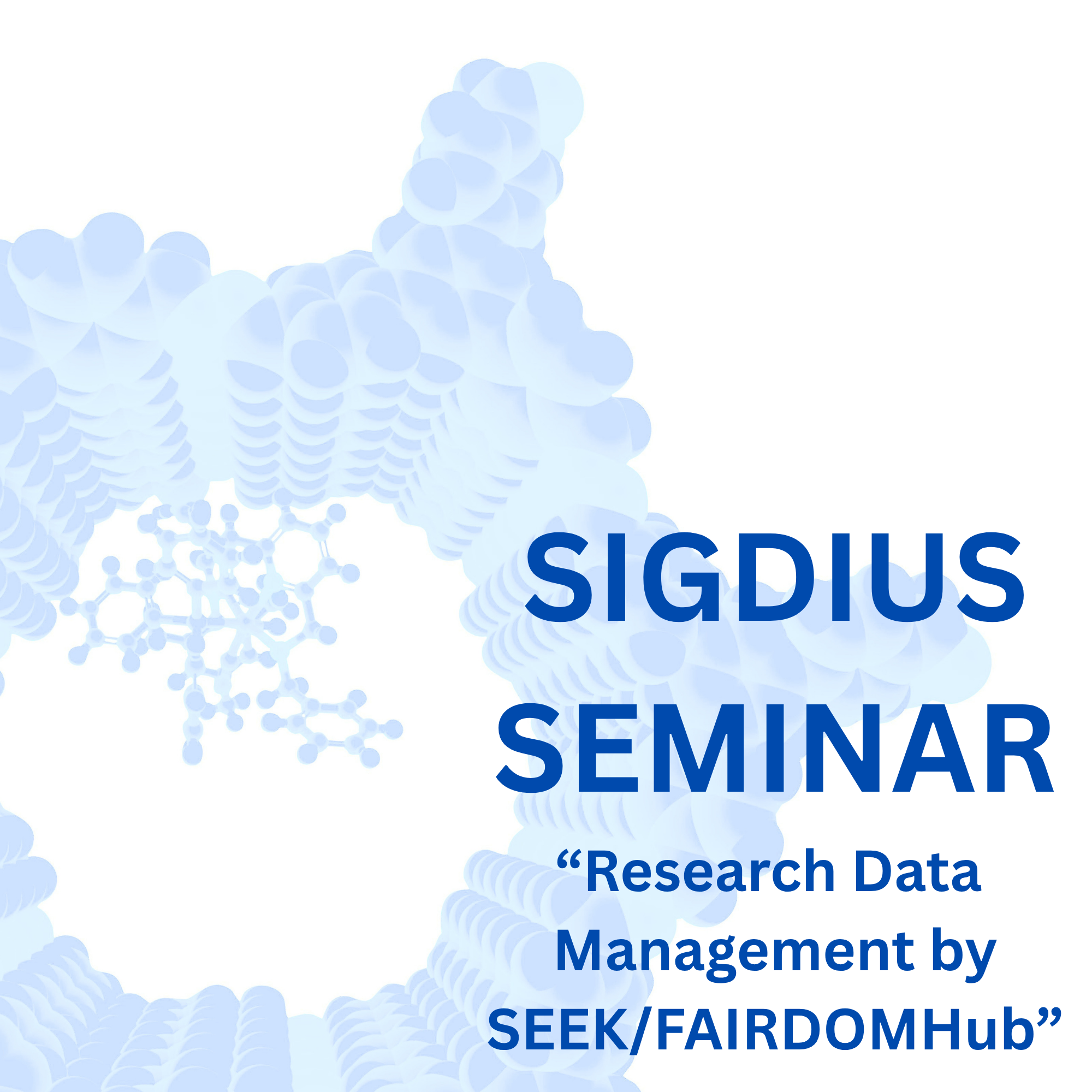 SIGDIUS SEMINAR