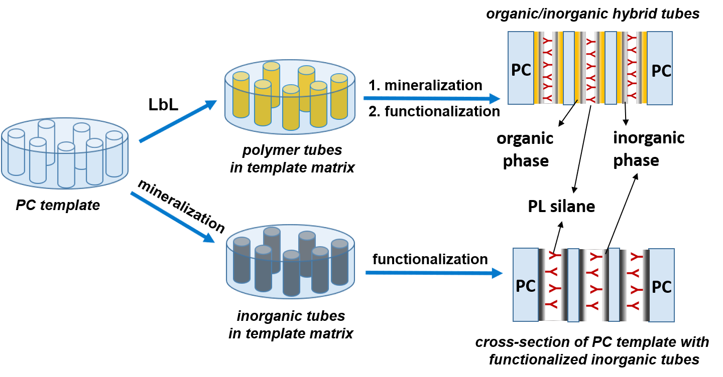 Schematic representation of the synthetic pathway for fabrication of oxide and polymer/oxide hybrid micro/nanotubes with mesoporous channels.