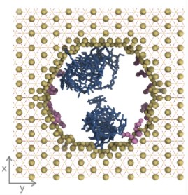 An atomistic view on the uptake of aromatic compounds by cyclodextrin immobilized on mesoporous silica