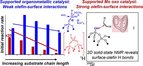 Olefin-Surface Interactions: A Key Activity Parameter in Silica- Supported Olefin Metathesis Catalysts