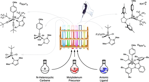 Ligand Variations in Neutral and Cationic Molybdenum Alkylidyne NHC Catalysts