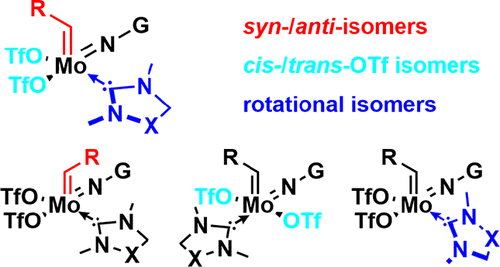 Isomers of Molybdenum Imido Alkylidene N‑Heterocyclic Carbene Complexes