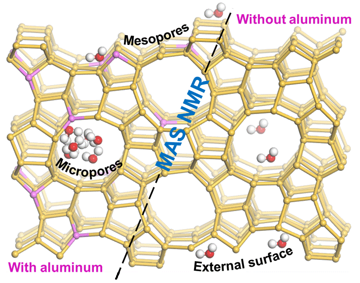 Hydronium Ion and Water Complexes vs. Methanol on Solid Catalyst Surfaces: How Confinement Determines Stability and Reactivity.
