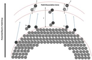 Frozen n-Tetradecane Investigated by Cryo-Atom Probe Tomography