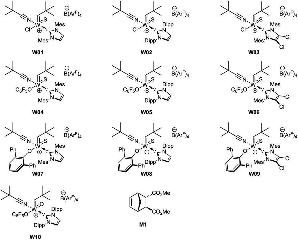 Stereoselective Ring-Opening Metathesis Polymerizationwith Tungsten Sulfido Alkylidene N-Heterocyclic CarbeneComplexes