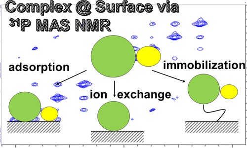 How Solid Surfaces Control Stability and Interactions of Supported Cationic CuI(dppf) Complexes─A Solid-State NMR Study