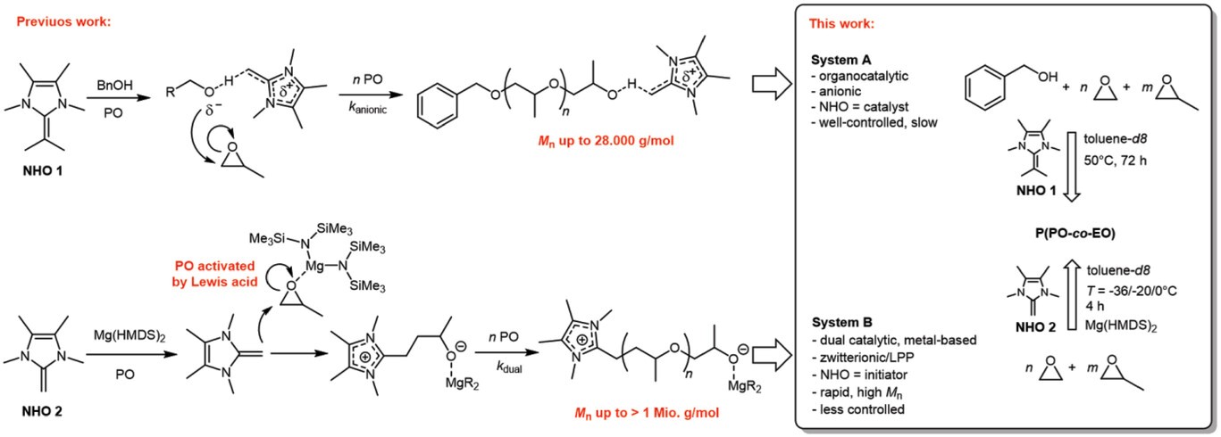 Revealing the Monomer Gradient of Polyether Copolymers Prepared Using N-Heterocyclic Olefins: Metal-Free Anionic versus Zwitterionic Lewis Pair Polymerization