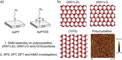 A Complementary Experimental and Theoretical Approach for Probing the Surface Functionalization of ZnO with Molecular Catalyst Linkers