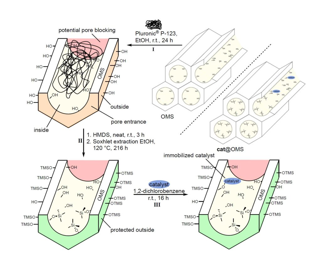 Macrocyclization of Dienes Under Confinement With Cationic Tungsten Imido/Oxo Alkylidene <i>N</i>-Heterocyclic Carbene Complexes