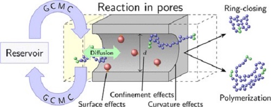 Disentanglement of Surface and Confinement Effects for Diene Metathesis in Mesoporous Confinement