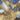 Tag der Wissenschaft / Science Day 2024