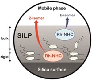 Influence of the supported ionic-liquid layer thickness on Z-selectivity in 1-alkyne hydrosilylation under continuous flow