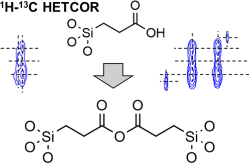 Properties of COOH-Functionalized Silica: A Particularly Weak Solid Acid