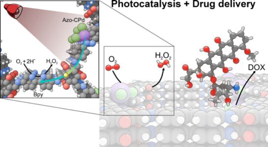 Mixed-Length Multivariate Covalent Organic Framework for Combined Near-Infrared Photodynamic Therapy and Drug Delivery
