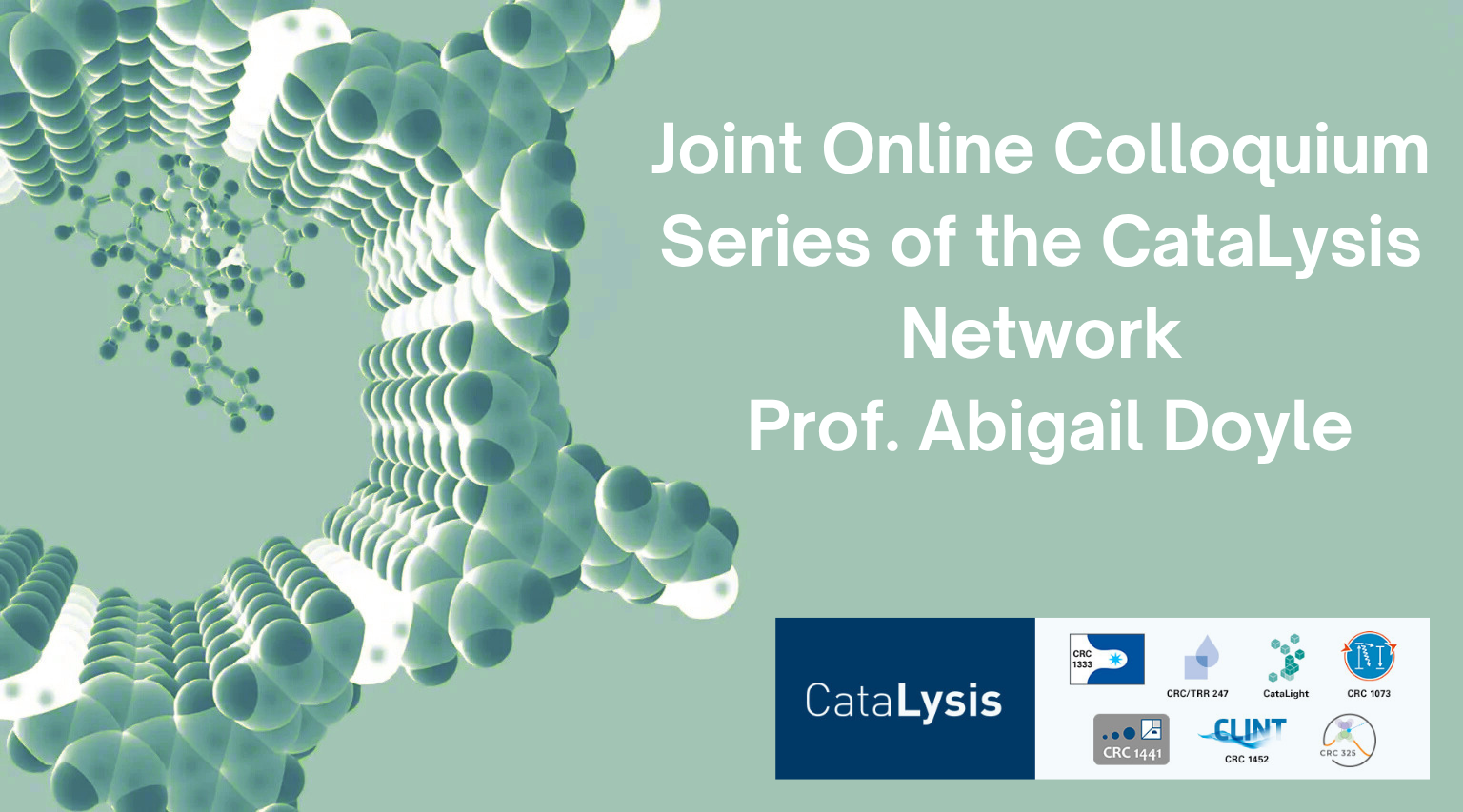 Joint Online Colloquium Series of the CataLysis network – Prof. Abigail Doyle