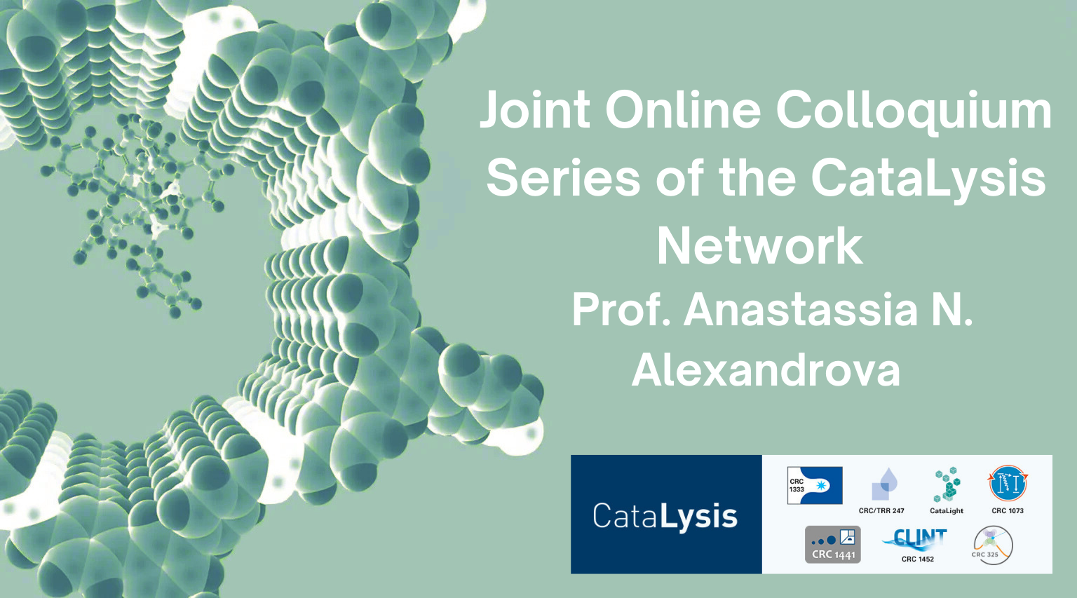 Joint Online Colloquium - Prof Anastasia