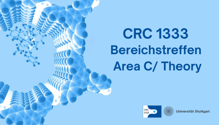 Bereichstreffen SFB 1333/ Area C/ Theory