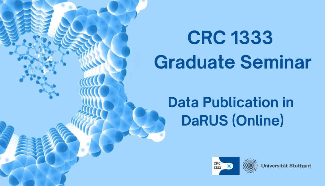 CRC 1333 Graduate Seminar Data Publication in DaRUS (Online)