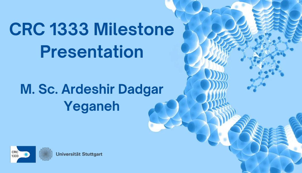 CRC 1333 Milestone Presentation M. Sc. Ardeshir Dadgar Yeganeh