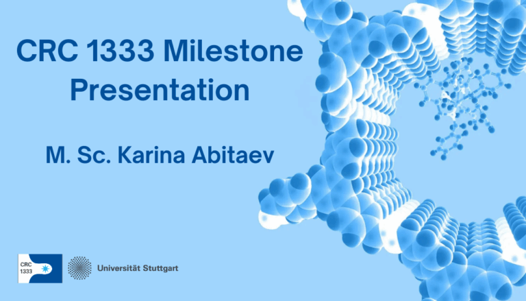 Milestone Presentation – Karina Abitaev