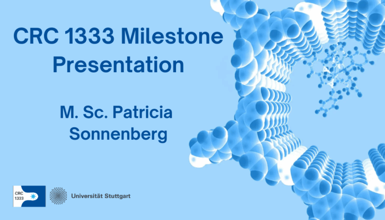 Milestone Presentation – M. Sc. Patricia Sonnenberg