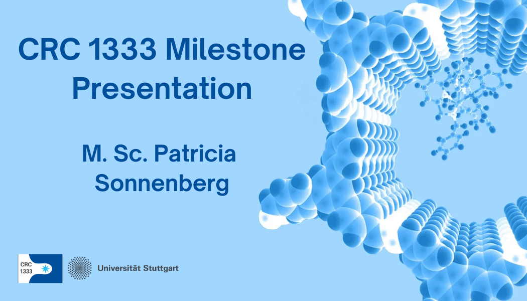 Milestone Presentation M.Sc. Patricia Sonnenberg
