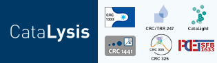 Catalyis Network Logo