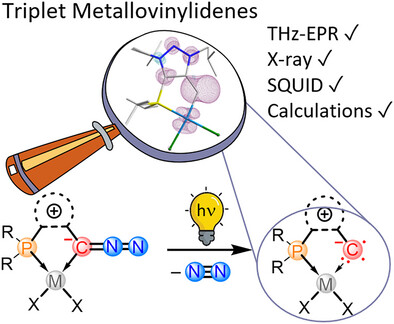 Triplet Metallovinylidenes of Palladium and Platinum Based on a Chelating P/Diazoalkene Ligand