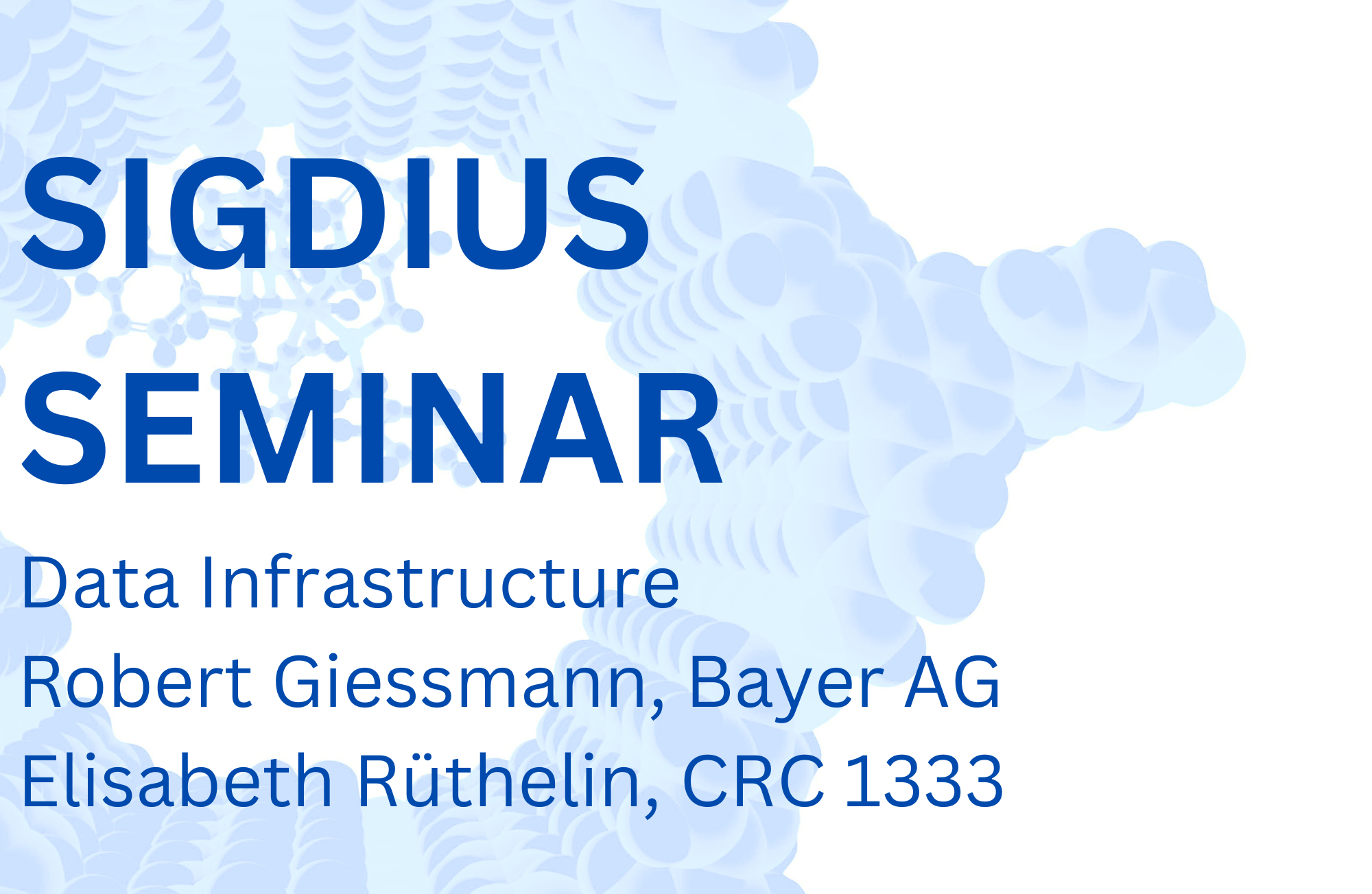 Sigdius Seminar Robert Giessmann & Elisabeth Rüthlein