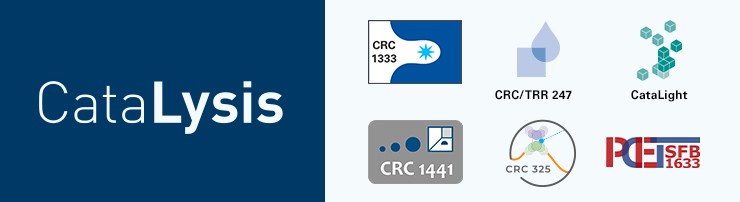 CataLysis Networking Conference 2026