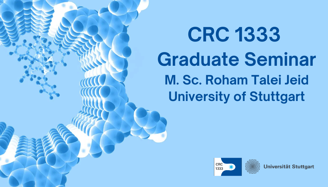 Graduate Seminar Roham Talei