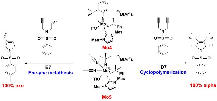 Correlating the Reactivity of Molybdenum Imido Alkylidene N-Heterocyclic Carbene Complexes in Ene-Yne Metathesis and Cyclopolymerization
